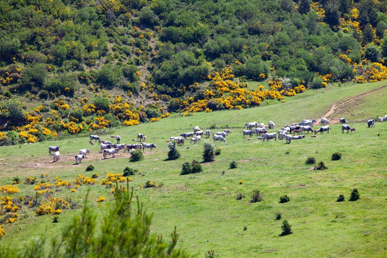 Maison d'hôtes Casa Rural La Majada De Penacorada à Fuentes de Peñacorada Extérieur photo